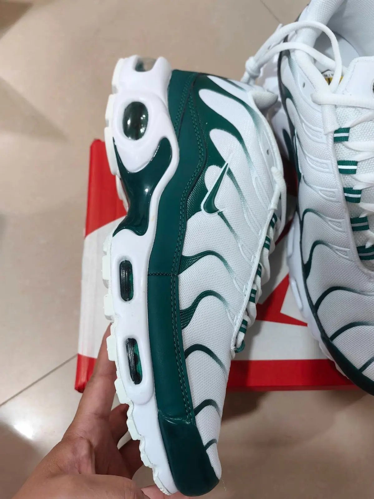 TN Lacoste tenisice — prednji prikaz