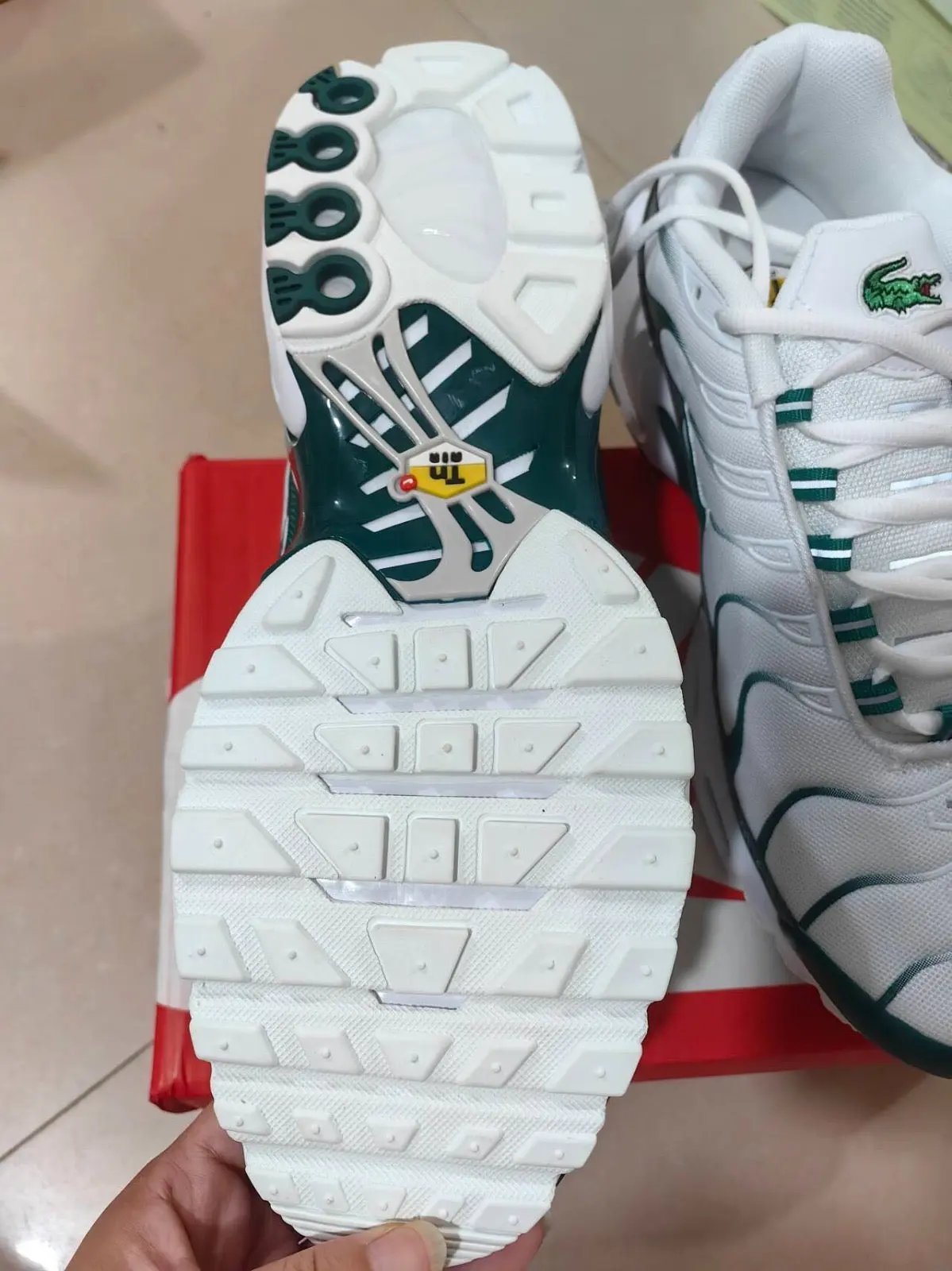 TN Lacoste tenisice — gornji prikaz