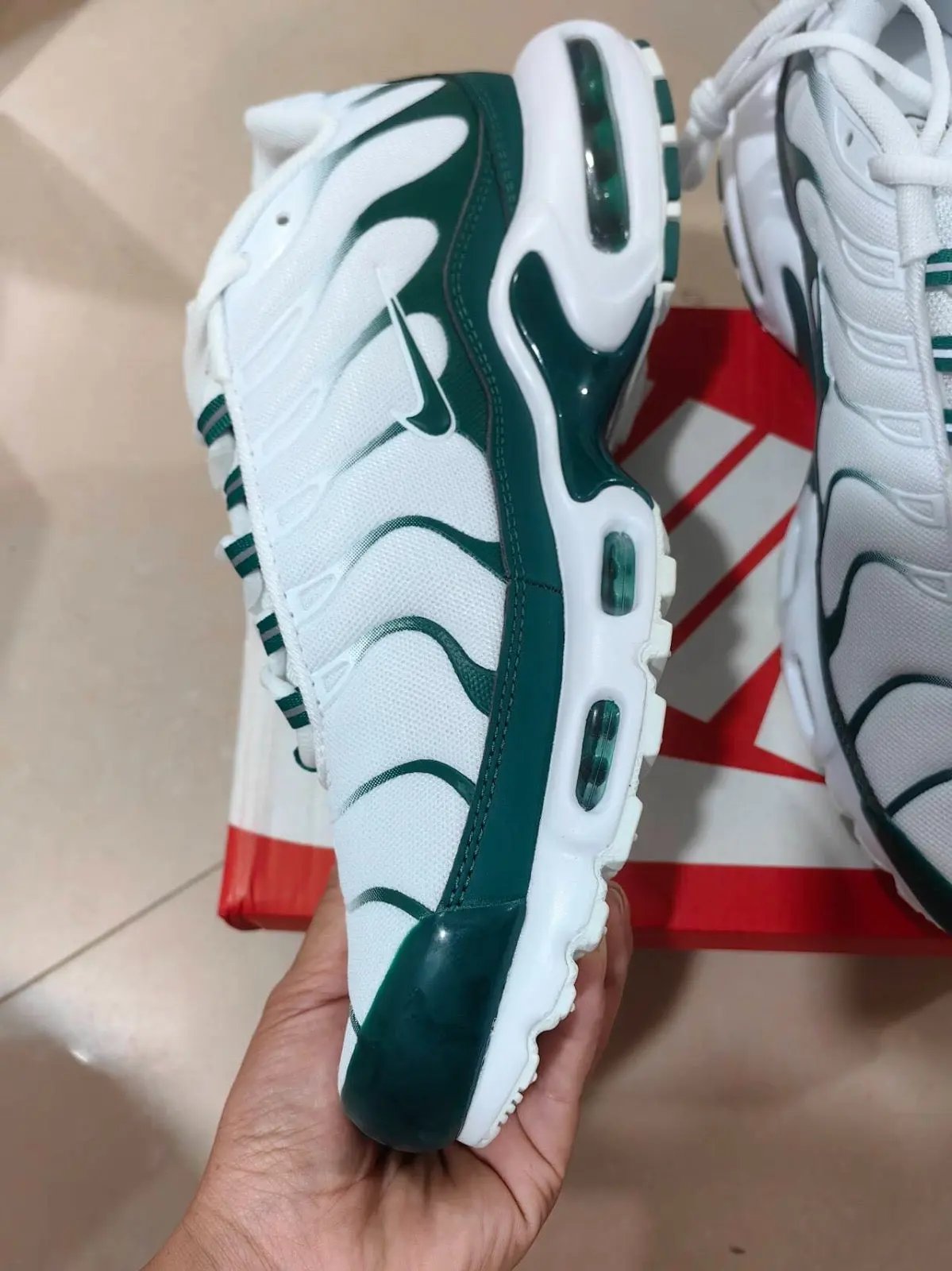TN Lacoste tenisice — straga