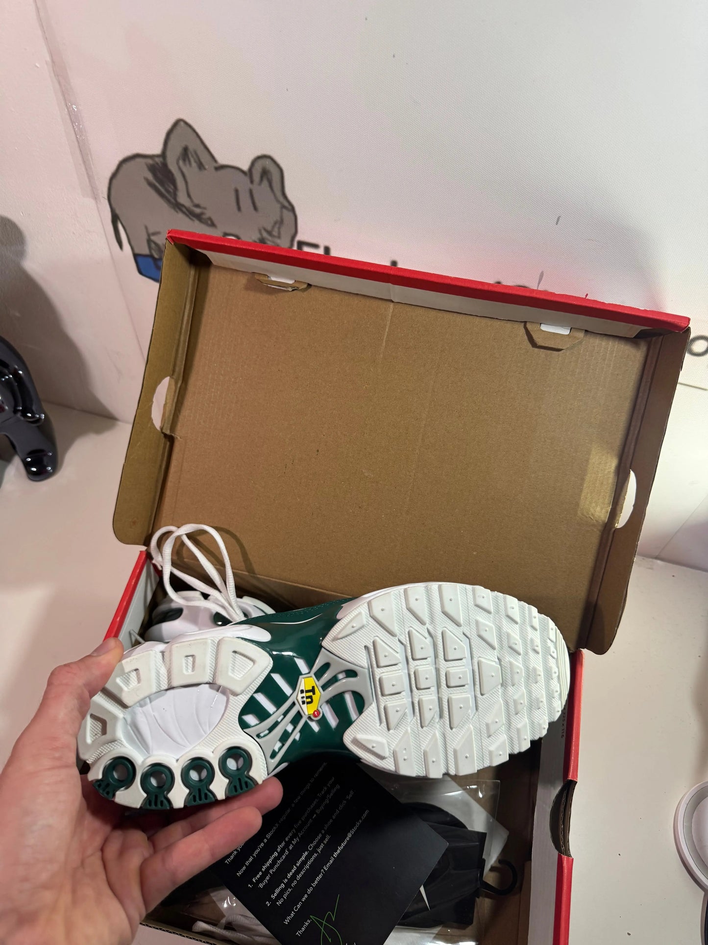 TN Lacoste tenisice — prednji prikaz