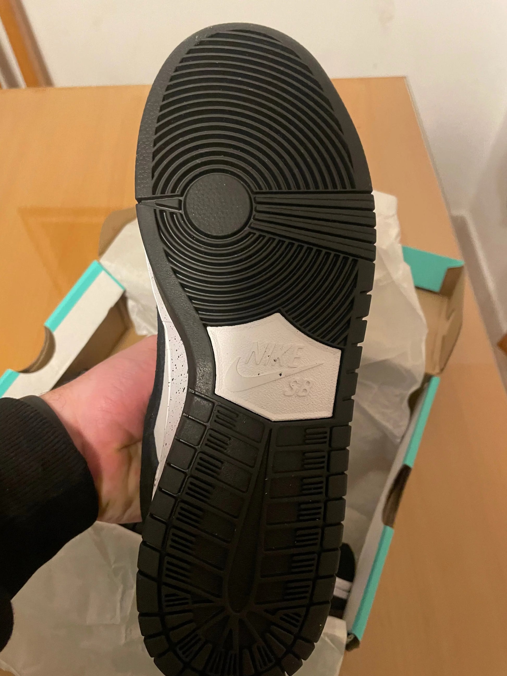 Panda Dunk tenisice — straga