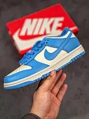 SB Dunk Low "Coast" tenisice — detalj